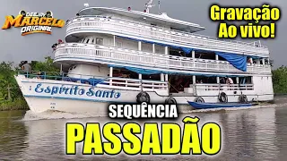 .🎶SEQUÊNCIA PASSADÃO - 😎DJ MARCELO ORIGINAL