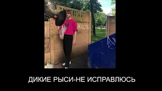 НЕ ИСПРАВЛЮСЬ-ДИКИЕ РЫСИ