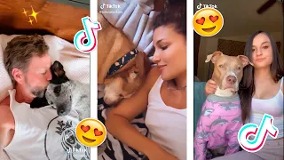 Kiss your pet on the head and see their reaction challenge | New Tiktok Trend Compilation #3🔥