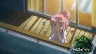 Amv ~ Parnoia ~ Shugo Chara