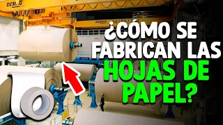 Cómo Se Fabrican Las HOJAS De PAPEL? [Proceso En Fábrica]