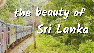 the beauty of Sri Lanka - Travelvideo | Daily Version | #srilankatravel #srilanka