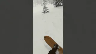 Steep Chute Wild Cats - Stevens Pass