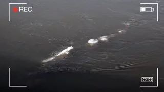 Strange Ice Monster Filmed In Alaska’s Chena River