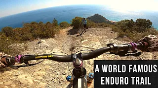 Take a run down the famous DH Men Trail in Finale Ligure