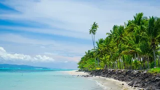Tropical Beach Bossa Nova Music with Beautiful Ocean Beach Views 🌴 Happy and Uplifting