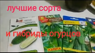 Лучшие  сорта и гибриды  огурцов для теплиц и открытого грунта.