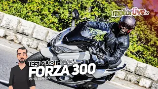 HONDA FORZA 300 - 2019 : renouveau ! | TEST 2018