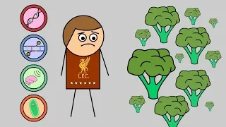 Why You Hate Broccoli and Love Your Favorite Sports Team | Four Curious Biological Forces