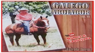 GALEGO ABOIADOR | O MELHOR DA VAQUEJADA