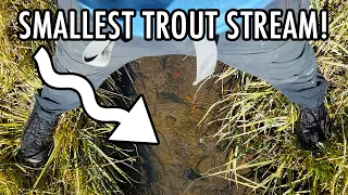 The Smallest Trout Stream in the World (With Surprisingly Big Fish!) – Tenkara Fly Fishing