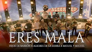 ERES MALA - HIJOS DE BARRON x JESUS OJEDA Y SUS PARIENTES x ALEGRES DE LA SIERRA x MIGUEL Y MIGUEL