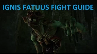 Witcher 3 - Ignis Fatuus Fight Guide - Swamp Thing Contract