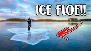 Spin Fishing Among ICE FLOES | Team Galant