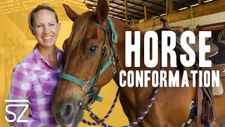 What is Horse Conformation & How it Affects Our Trail Horses?