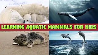 AQUATIC MAMMALS FOR KIDS - NAMES AND SOUNDS