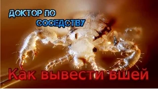 Как вывести вшей / How to remove lice