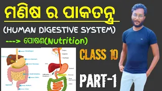 ମଣିଷ ର ପାକତନ୍ତ୍ର (DIGESTIVE SYSTEM OF HUMAN BEING) || Class 10 biology chapter-1 in odia || PART-1