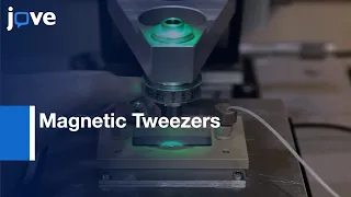 Magnetic Tweezers For Measurement Of Twist & Torque l Protocol Preview