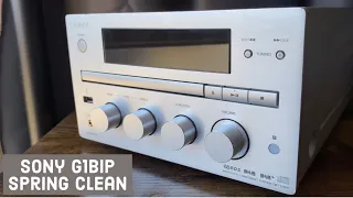 Sony G1BIP Amplifier Restoration