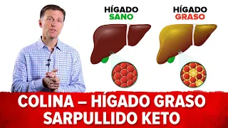 Colina,  la vitamina contra el hígado graso. Puede prevenir el sarpullido keto -Subtitulado