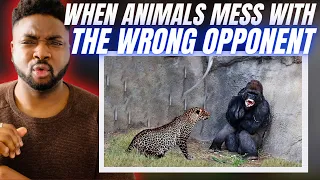 🇬🇧BRIT Reacts To WHEN ANIMALS MESS WITH THE WRONG OPPONENTS!