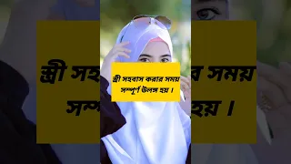 islamic  status #shortsfeed#shortvideo #islamicstatusvideo #sorts #islamic #instagram