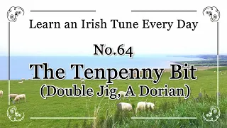 064 The Tenpenny Bit (Double Jig, A Dorian) Learn an Irish Tune Everyday.