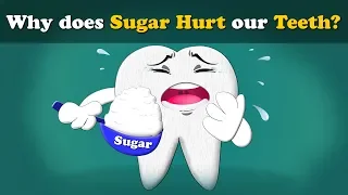 Why does Sugar Hurt our Teeth? | #aumsum #kids #science #education #children