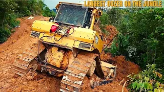 World Large Dozer Working In The Jungle Part 2