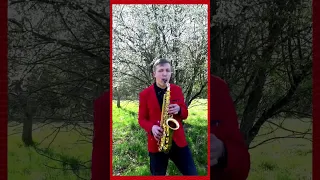 Bernužėliai - Mūsų kaime kaktusai nežydi 🎷 #shorts #viral #DVSax