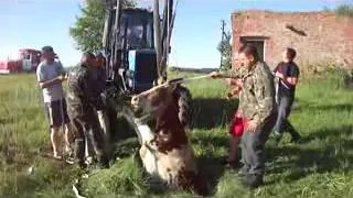 Рятувальники Літинського району витягли із колодязя корову
