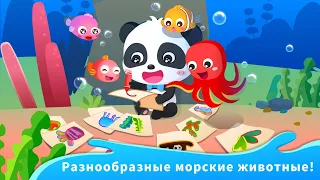 БебиБас/Baby Bus спасение морских животных, baby panda