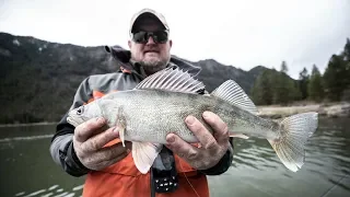 Jason Mundell SCHOOLS Paul on Montana Walleyes