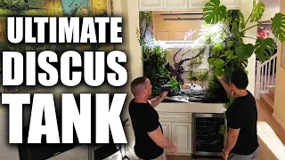 THE ULTIMATE DISCUS AQUARIUM