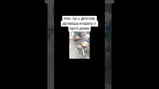 Лучшие тикток мемы #519 | Best TikTok memes #shorts #memes #мем