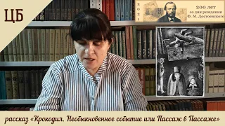 Ф.М. Достоевский "Крокодил.  Необыкновенное событие или Пассаж в Пассаже" (отрывок)