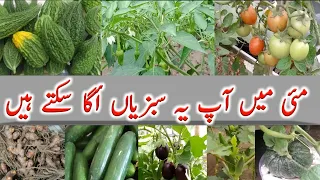 May me konsi sabji ugane|may me lagai jane wali sabziyan|May month vegetables in Urdu|hindi