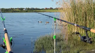 Рыбалка на НОВОМ ОЗЕРЕ!!