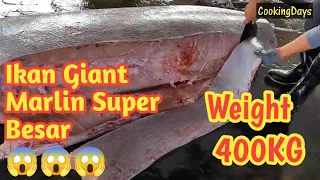 Ikan Giant Blue Marlin Sashimi 400Kg 😱