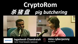 Crypto Rom  - 杀猪盘 - pig butchering