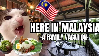 CAT MEMES: HERE IN MALAYSIA PT.3