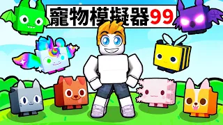 寵物模擬器９９！？【Roblox 機械方塊】