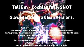 Cochise feat. $NOT - Tell Em (Slowed + Reverb) [Clean Version] @SoapRadioMusic