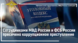 Ирина Волк: Сотрудниками МВД России и ФСБ России пресечено коррупционное преступление