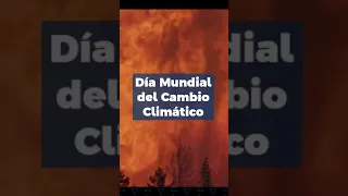 Hábitos para frenar el cambio climático