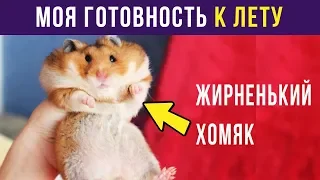 Приколы. К ЛЕТУ ГОТОВ | Мемозг #84