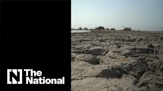 Iraq's drought 'has turned our life upside down' as water crisis deepens