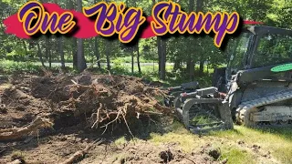 Little Red & Hercules / Tree Stump Removal