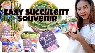 DIY: How to make easy & affordable succulent souvenir